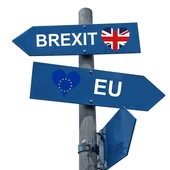 Brexit Brexit