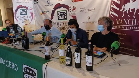 Fiesta de la Vendimia desde el P&oacute;sito de Campo de Criptana
