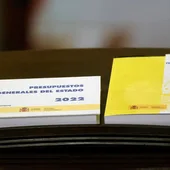 Presupuestos Generales del Estado para el año 2022 Presupuestos Generales del Estado para el año 2022
