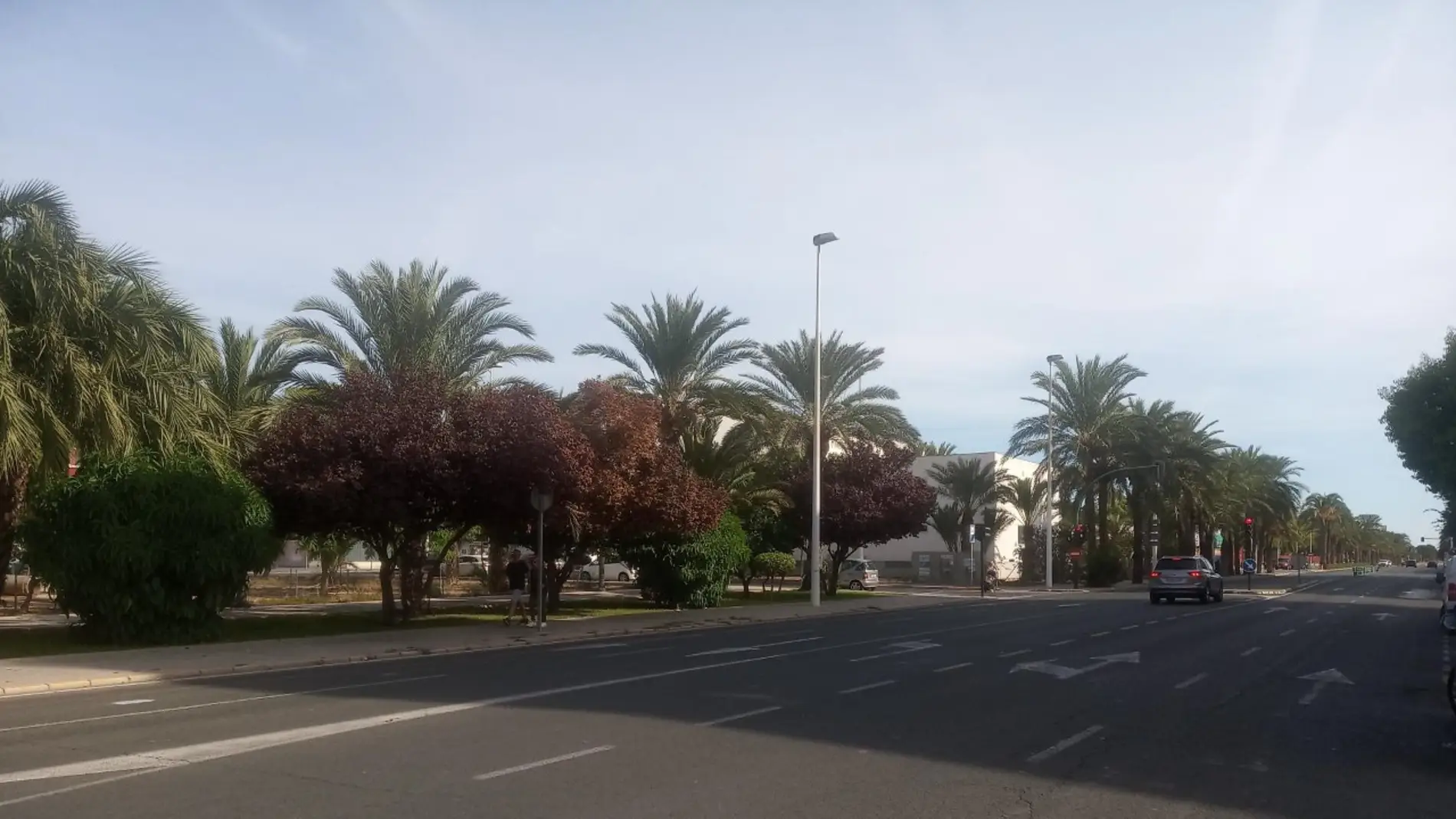Avenida de Alicante en Elche. 