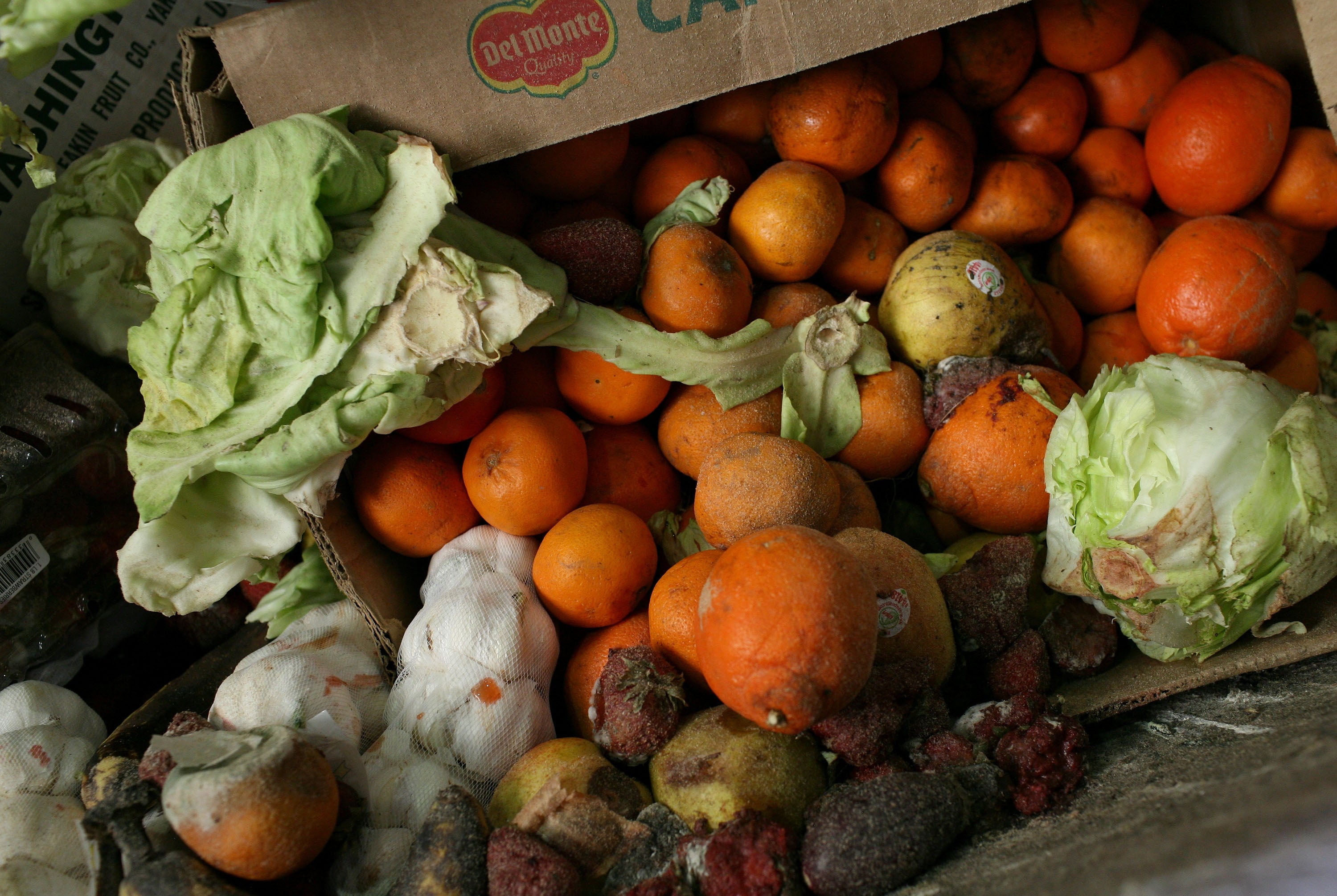 El Gabinete: ¿Es necesario regular por ley el desperdicio alimentario? El Gabinete: ¿Es necesario regular por ley el desperdicio alimentario?