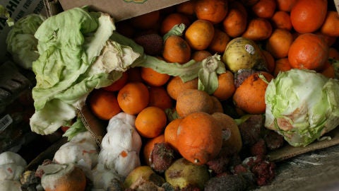 &iquest;Por qu&eacute; tiramos tanta comida?