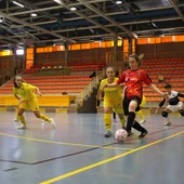 Segosala Femenino Segosala Femenino