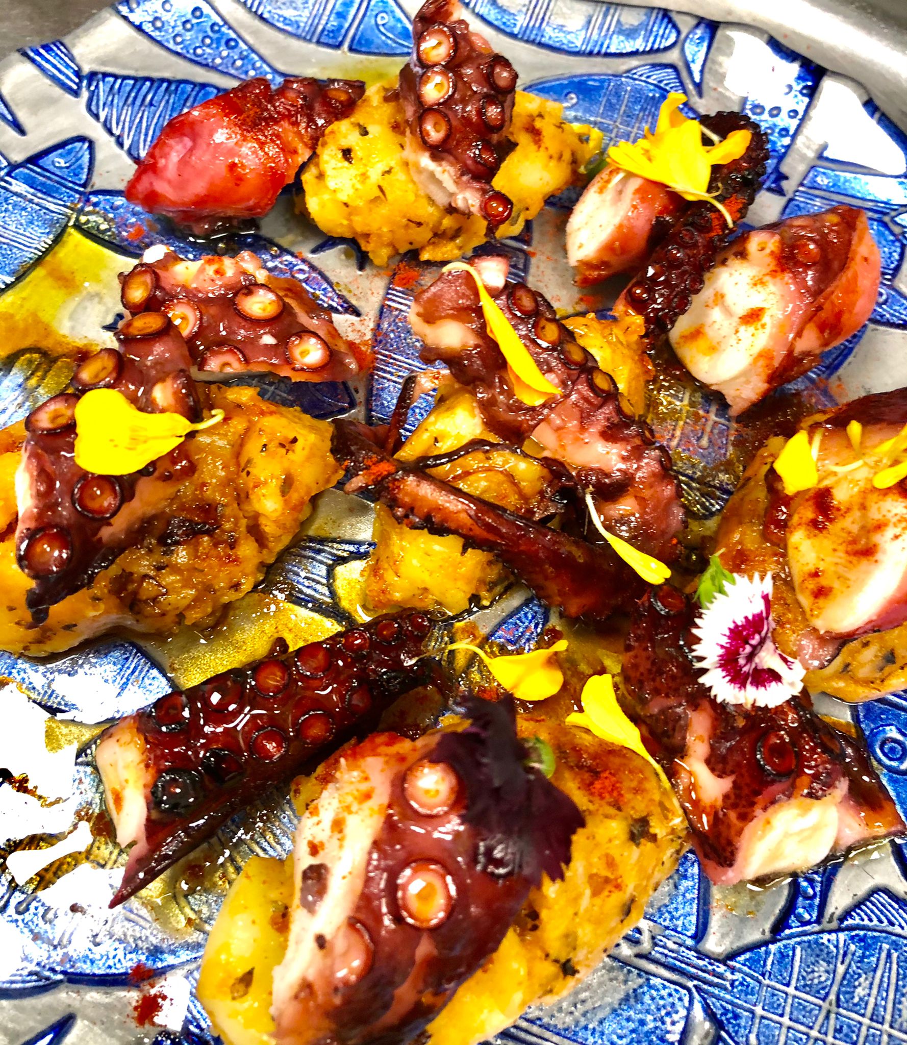 El pulpo, una joya gastronómica El pulpo, una joya gastronómica