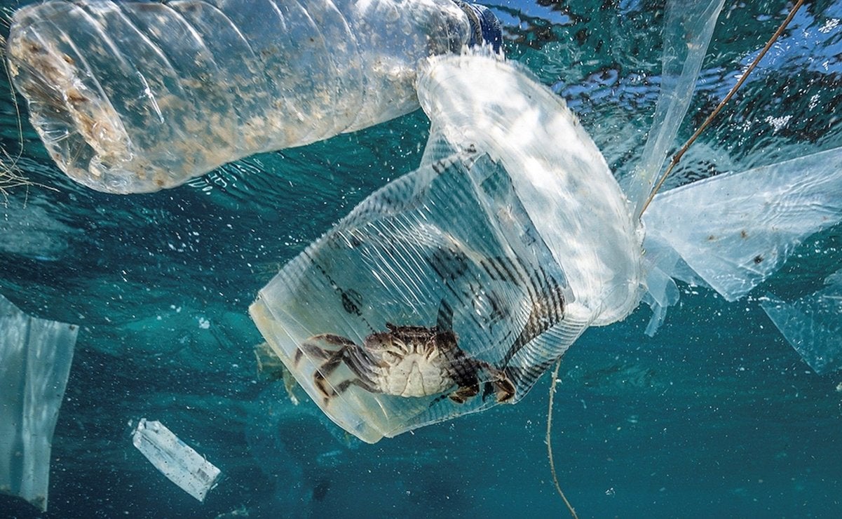 La campaña 'Microplásticos, macrobasura' abordará en Badajoz la problemática de las basuras terrestres y marinas La campaña 'Microplásticos, macrobasura' abordará en Badajoz la problemática de las basuras terrestres y marinas