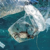 La campaña 'Microplásticos, macrobasura' abordará en Badajoz la problemática de las basuras terrestres y marinas La campaña 'Microplásticos, macrobasura' abordará en Badajoz la problemática de las basuras terrestres y marinas