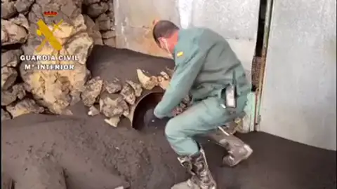 La Guardia Civil rescata una gallina en La Palma La Guardia Civil rescata una gallina en La Palma