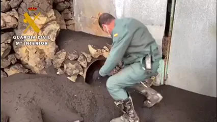 La Guardia Civil rescata una gallina en La Palma La Guardia Civil rescata una gallina en La Palma