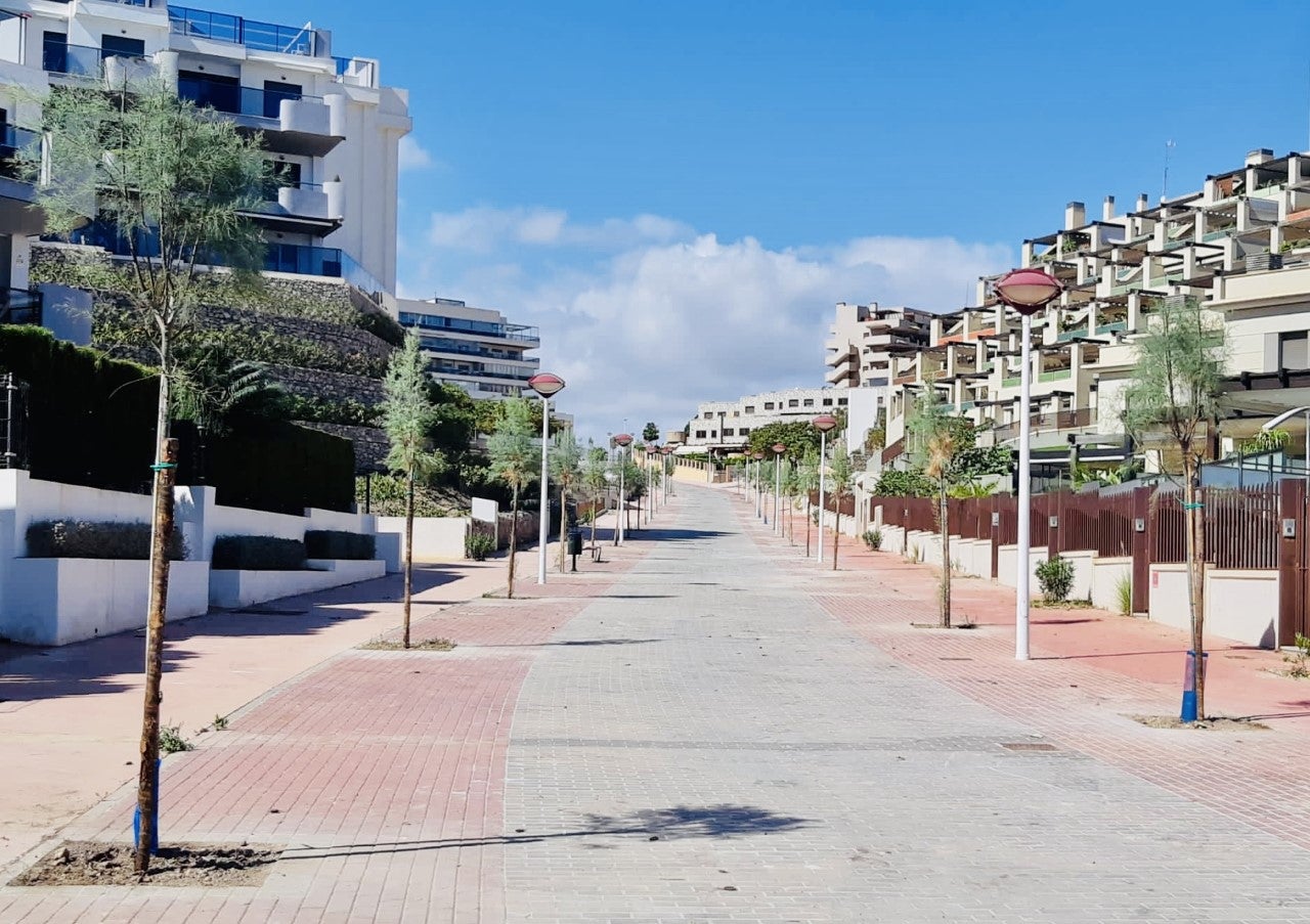 El plan de arbolado impulsado por el Ayuntamiento de Elche prevé cubrir todos los alcorques del municipio esta legislatura El plan de arbolado impulsado por el Ayuntamiento de Elche prevé cubrir todos los alcorques del municipio esta legislatura