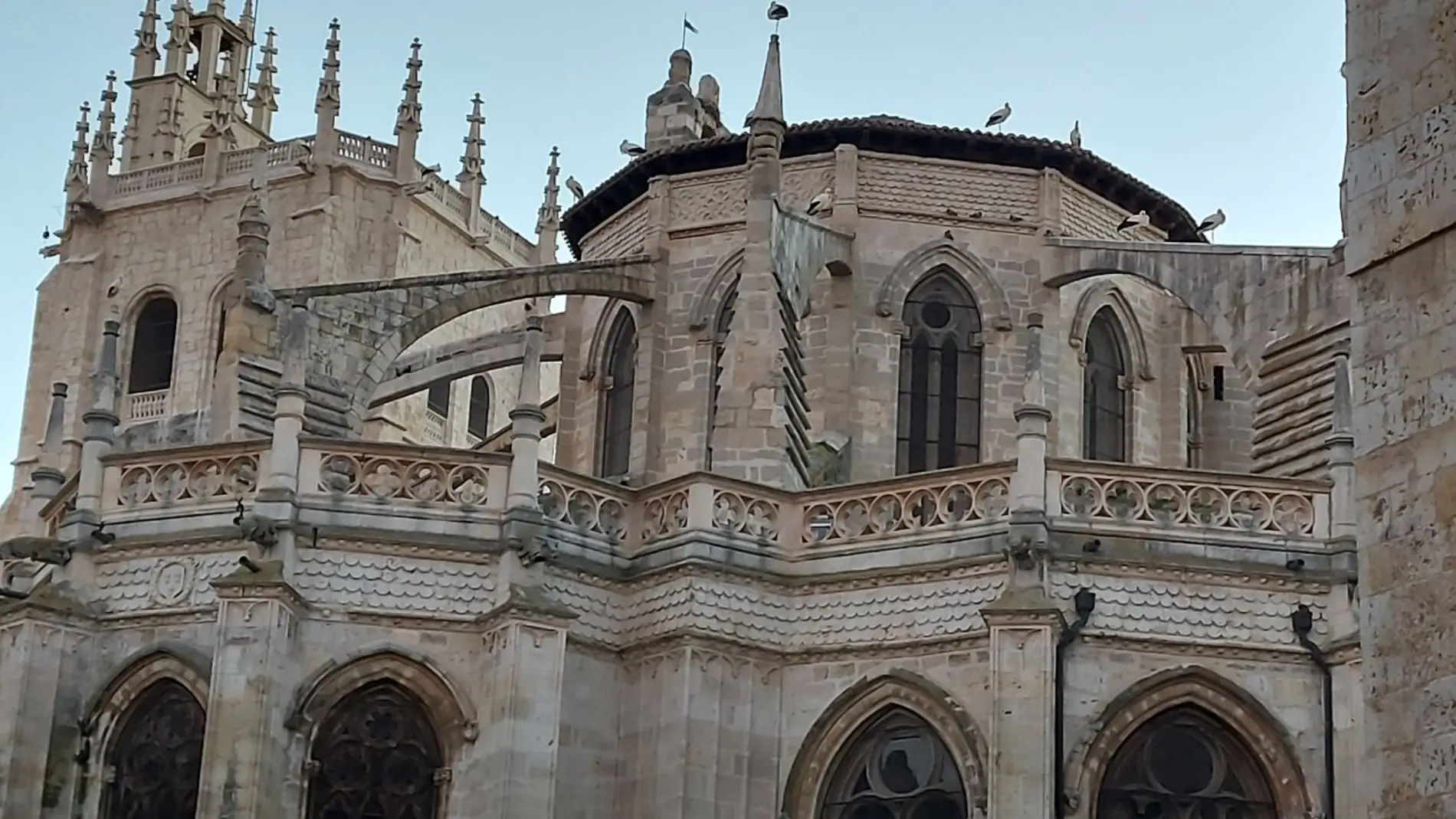 La Catedral de Palencia bate récord de visitas y supera las cifras pre-Covid con 2.100 visitantes este puente del Pilar