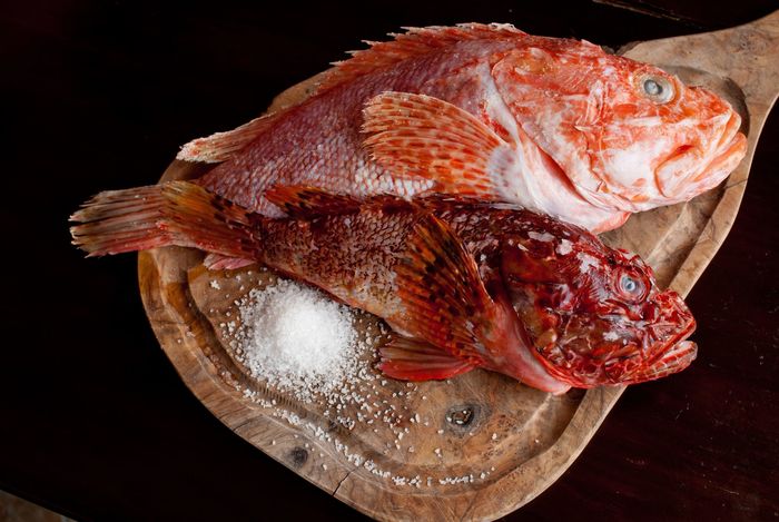 El cabracho, el pez de los mil nombres El cabracho, el pez de los mil nombres