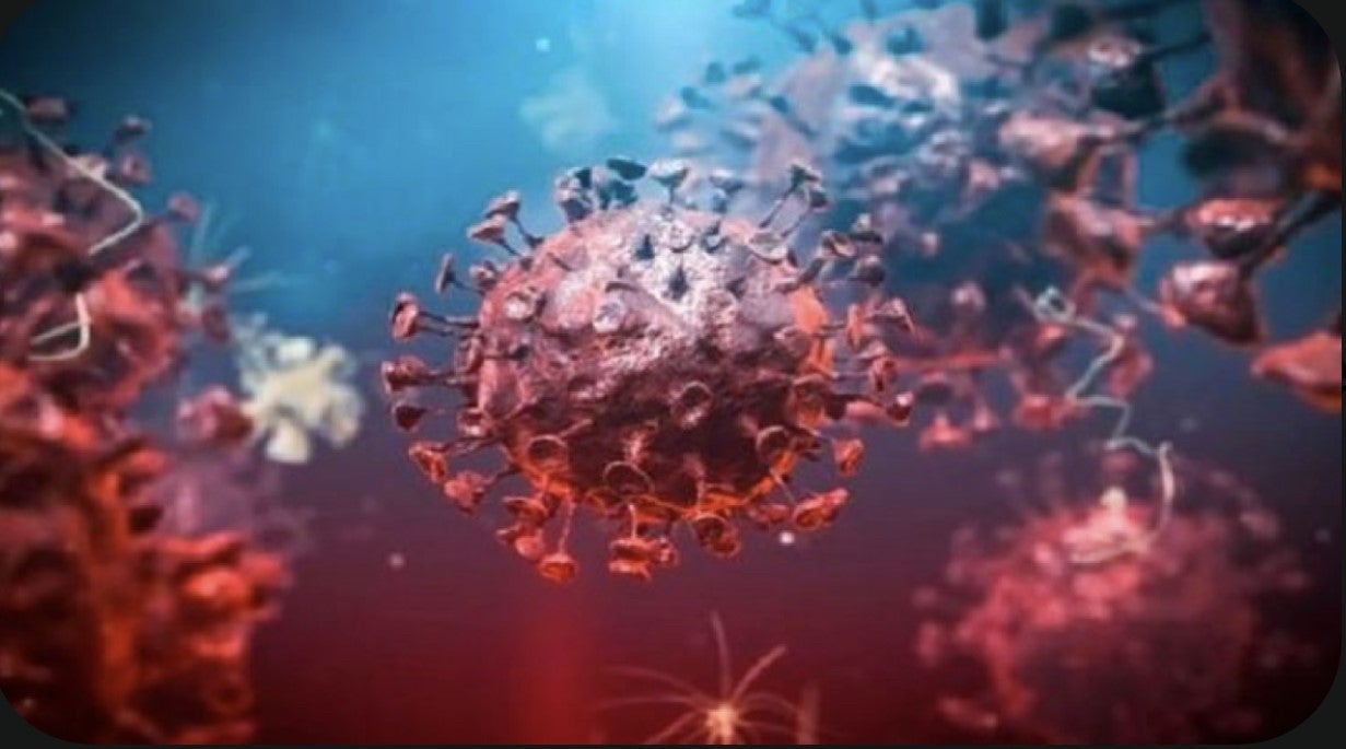 ¿Qué hemos aprendido de la pandemia que podamos aplicar ahora para prevenir la gripe y otros virus respiratorios? ¿Qué hemos aprendido de la pandemia que podamos aplicar ahora para prevenir la gripe y otros virus respiratorios?