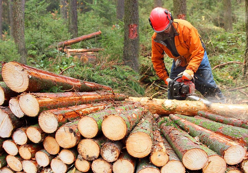 A Xunta impulsa con 15 M€ o sector da industria forestal A Xunta impulsa con 15 M€ o sector da industria forestal