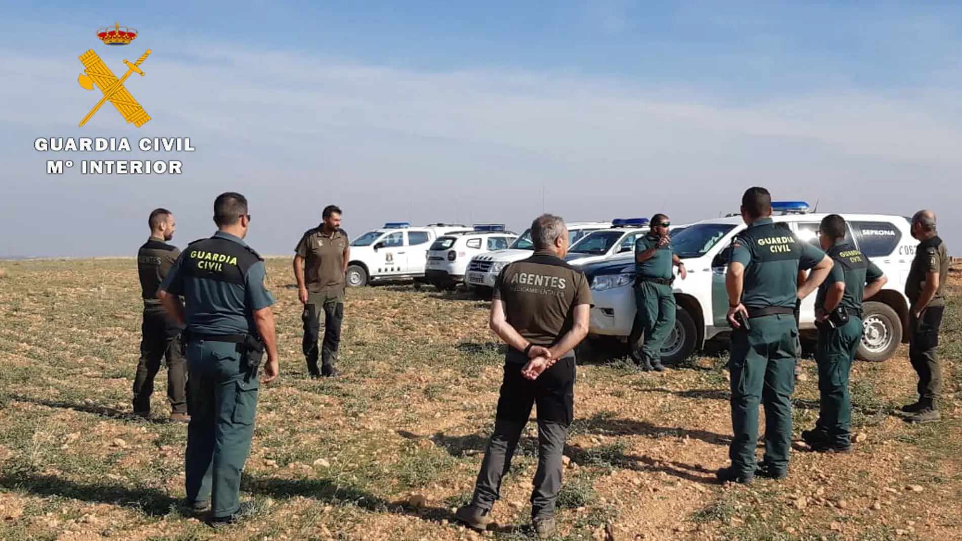  Inspeccionados varios cotos de caza de la provincia de Albacete en busca de cebos envenenados