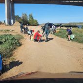 46 voluntarios limpian el Río Guadiana a su paso por Mérida y recogen un total de 481,68 kilos de residuos