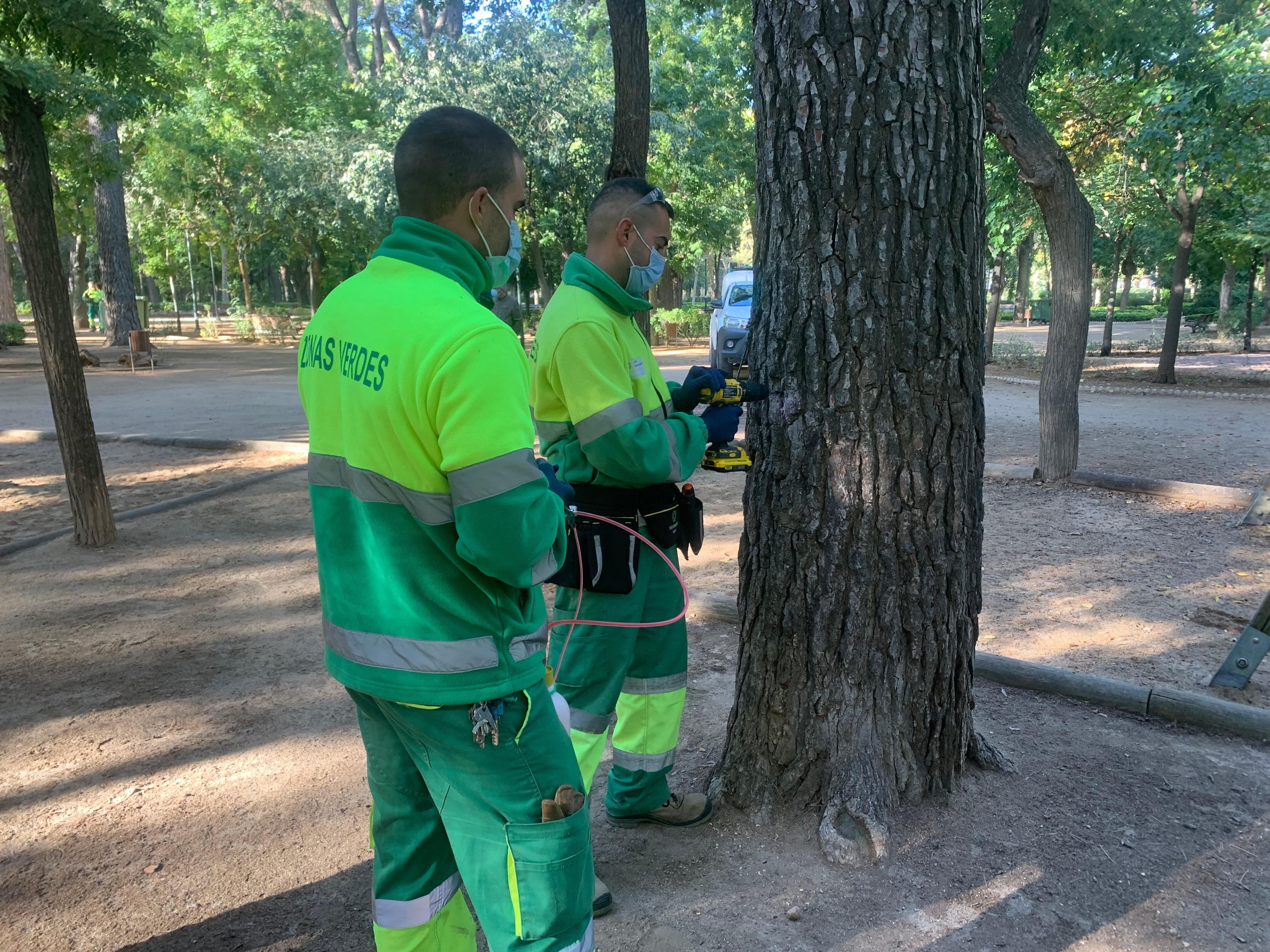 Ante la ola de calor, el Ayuntamiento aplica medidas preventivas para los trabajadores al aire libre Ante la ola de calor, el Ayuntamiento aplica medidas preventivas para los trabajadores al aire libre