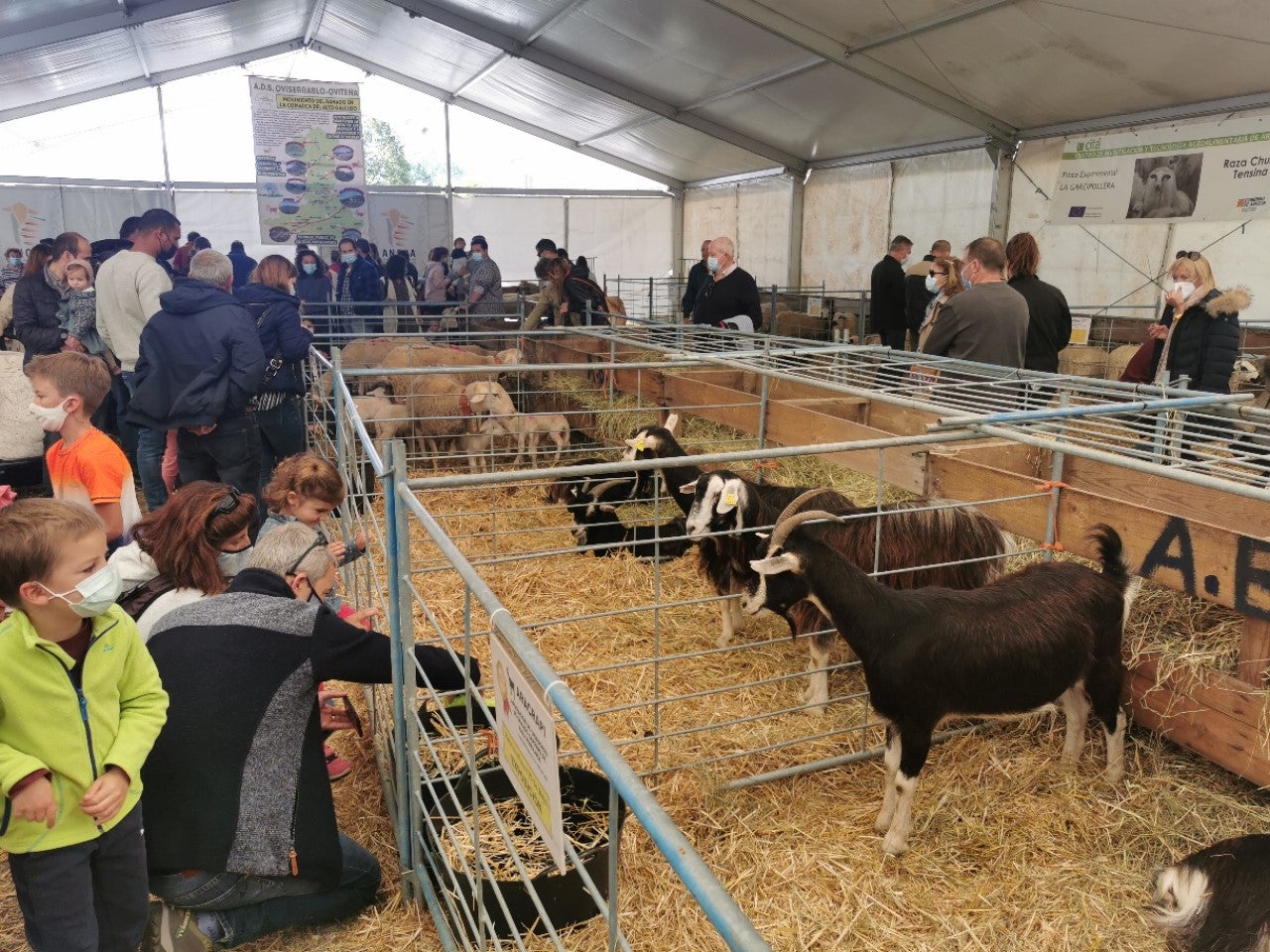 Balance muy positivo de la Feria de Otoño Balance muy positivo de la Feria de Otoño