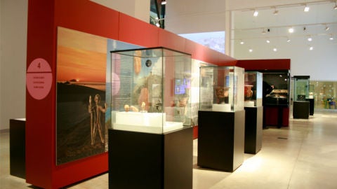 Museos