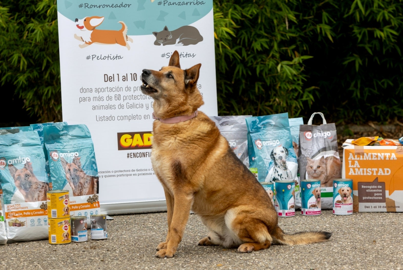 Gadis dona 80.000 kilos de alimentos a más de 60 protectoras de animales Gadis dona 80.000 kilos de alimentos a más de 60 protectoras de animales