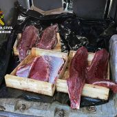 La Guardia Civil desmantela un grupo criminal dedicado a la sustracción de atún rojo en polígonos acuícolas de Cartagena y San Pedro del Pinatar