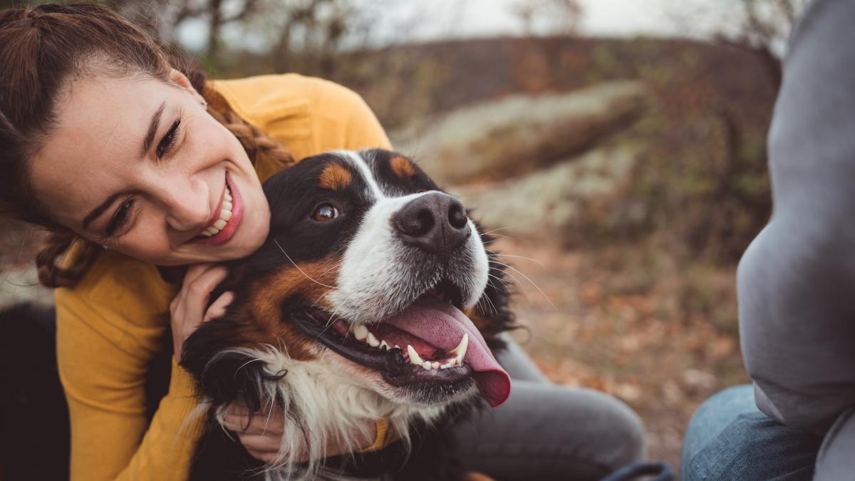¿Cómo expresa nuestro perro su cariño hacia nosotros? El lenguaje del amor canino ¿Cómo expresa nuestro perro su cariño hacia nosotros? El lenguaje del amor canino