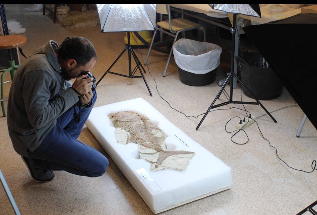 Investigadores del MUPE exponen a la comunidad científica su hallazgo de los restos de una posible nueva especie de pez prehistórico Investigadores del MUPE exponen a la comunidad científica su hallazgo de los restos de una posible nueva especie de pez prehistórico