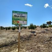 Jardí dels nous vilers