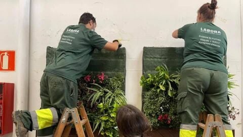 Trabajadores de uno de los programas de LABORA.