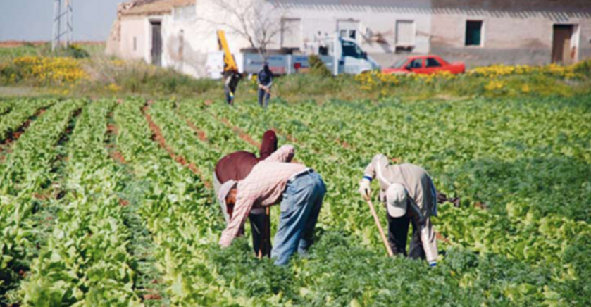 Los seguros agrarios combinados y la convocatoria de este año suman 8 millones de euros Los seguros agrarios combinados y la convocatoria de este año suman 8 millones de euros
