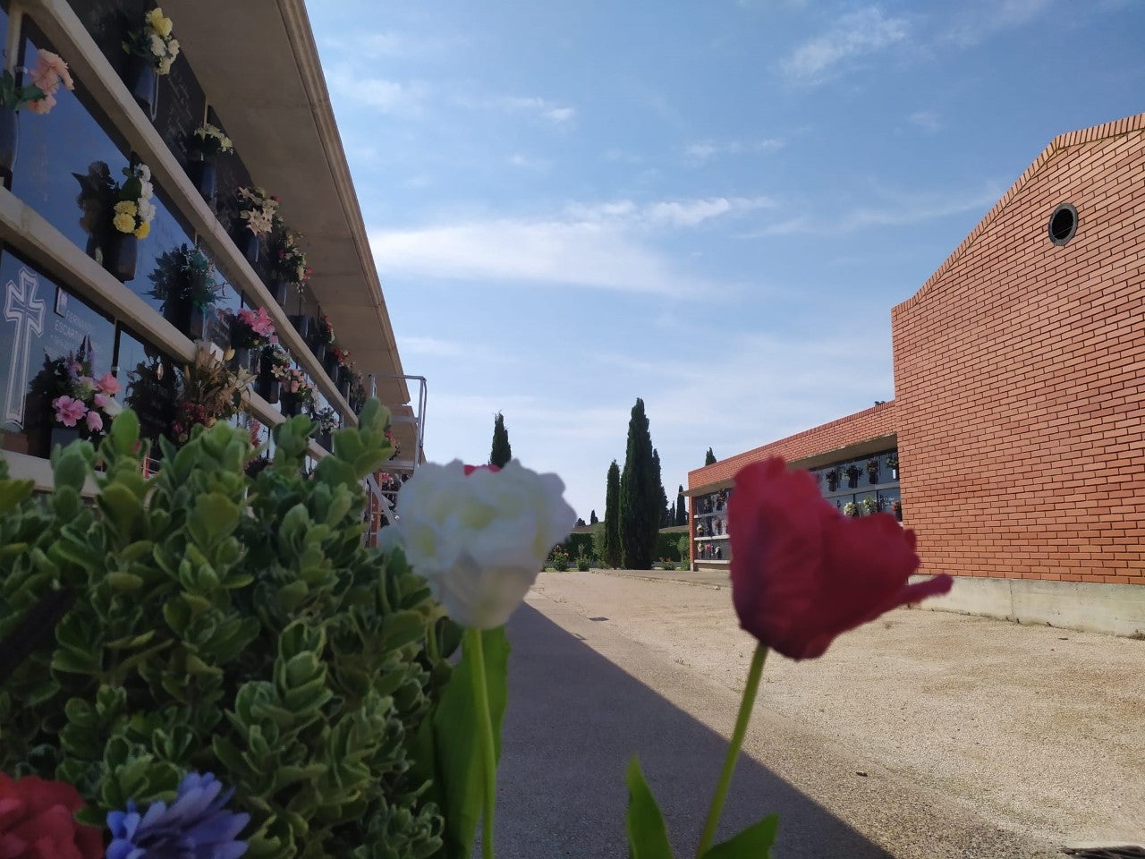 Las defunciones se estabilizan tras el aumento por la pandemia Las defunciones se estabilizan tras el aumento por la pandemia