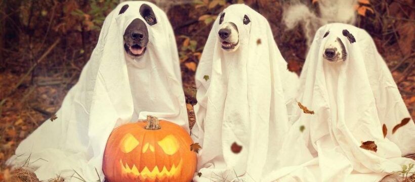 Más de Uno Álava 29/10/2021 Más de Uno Álava 29/10/2021