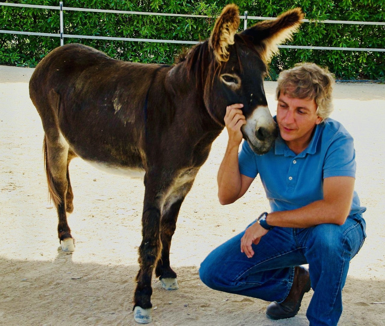 '2021 ha sido un año lleno de desgracias para los animales' '2021 ha sido un año lleno de desgracias para los animales'