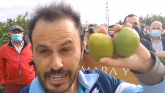 Los supermercados retrasan la recolección española ofreciendo limones viejos de Sudáfrica y Argentina que compraron en verano Los supermercados retrasan la recolección española ofreciendo limones viejos de Sudáfrica y Argentina que compraron en verano