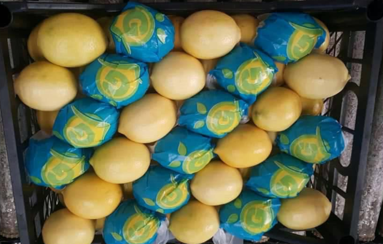 En solo dos meses, 10 alertas sanitarias de limones turcos en la UE por presencia de pesticidas En solo dos meses, 10 alertas sanitarias de limones turcos en la UE por presencia de pesticidas