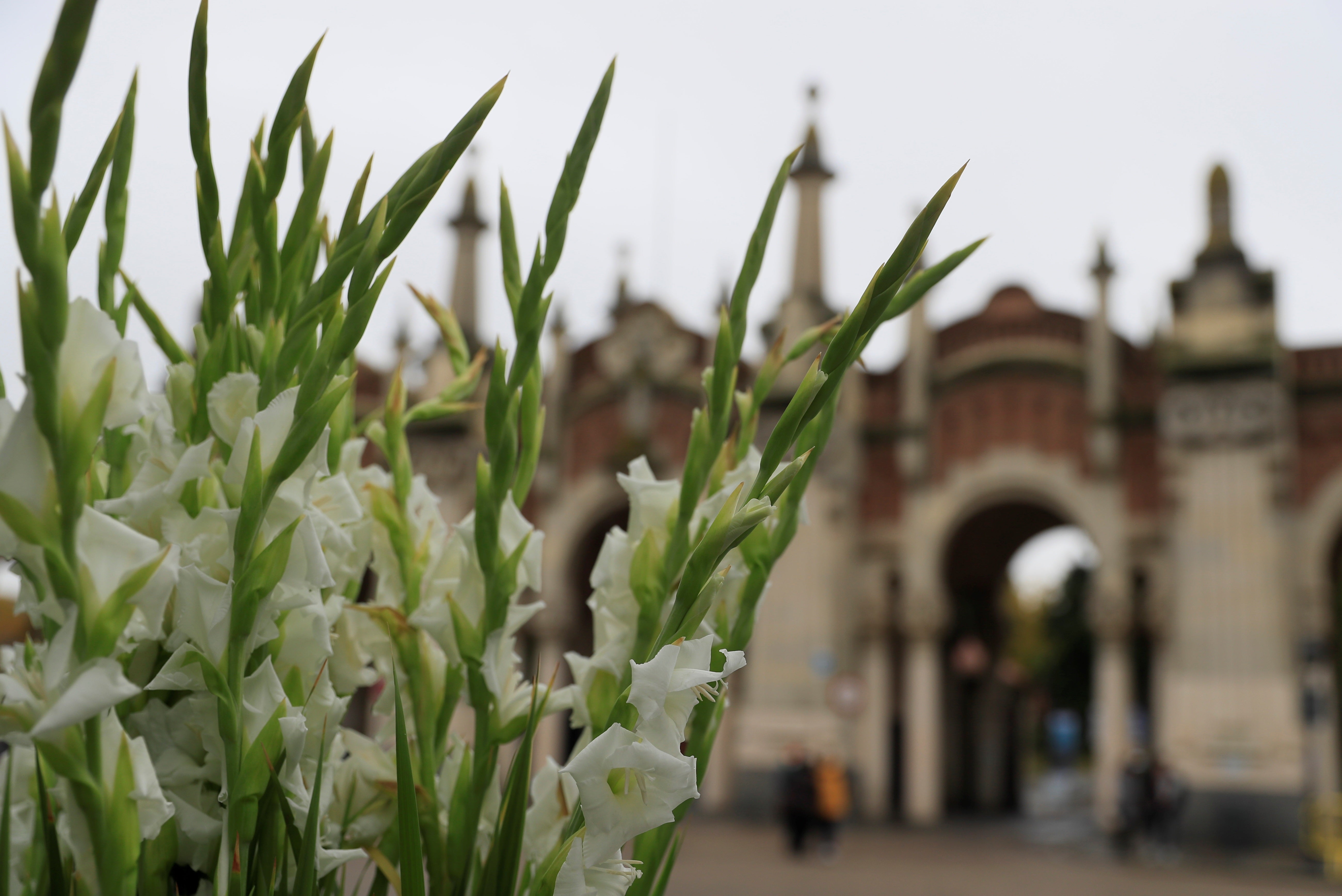 Dos muertos en el cementerio de Torrent durante un tiroteo Dos muertos en el cementerio de Torrent durante un tiroteo