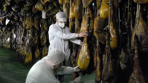 Feria del jamón ibérico 100% de bellota de la DOP Pedroches Nueva formula para saber si un jamon iberico es de bellota