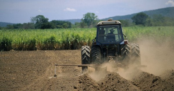UPA pide ayudas al Gobierno por la subida de precios UPA pide ayudas al Gobierno por la subida de precios