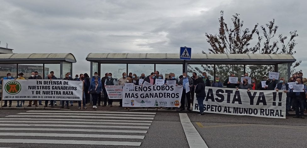 Asturias prepara protocolos con capturas en vez de batidas Asturias prepara protocolos con capturas en vez de batidas