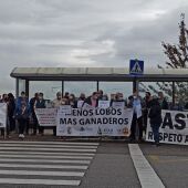Asturias prepara protocolos con capturas en vez de batidas
