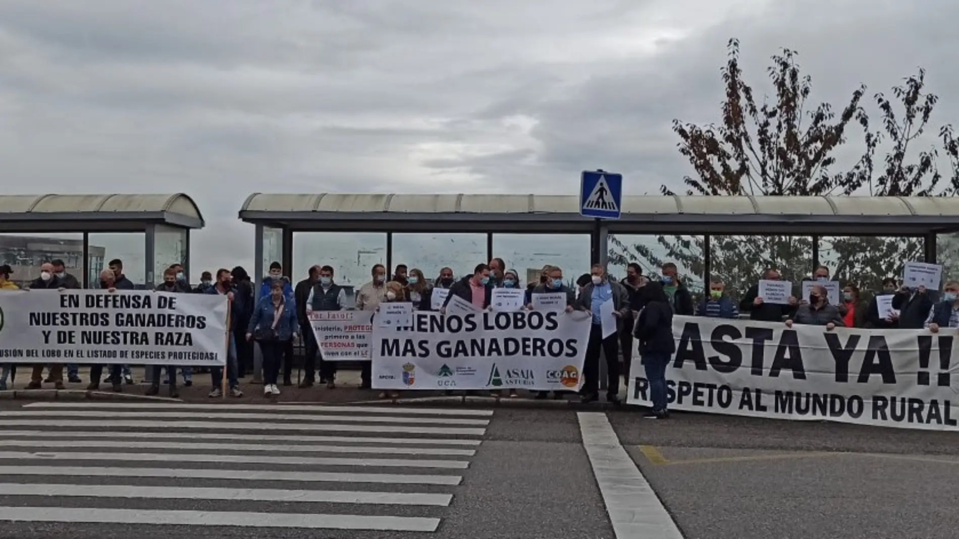 Asturias prepara protocolos con capturas en vez de batidas