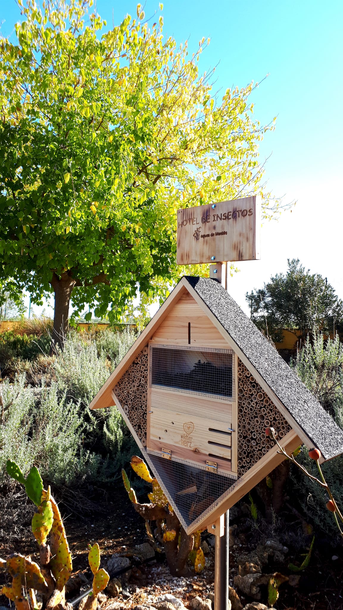 Cajas nido y mariposario Cajas nido y mariposario