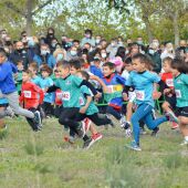 Más de mil atletas se dan cita en el XXXVII Cross Escolar Juventud Atlética Elche.