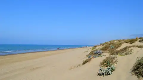 Playas Marbella Playas Marbella