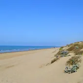 Playas Marbella Playas Marbella
