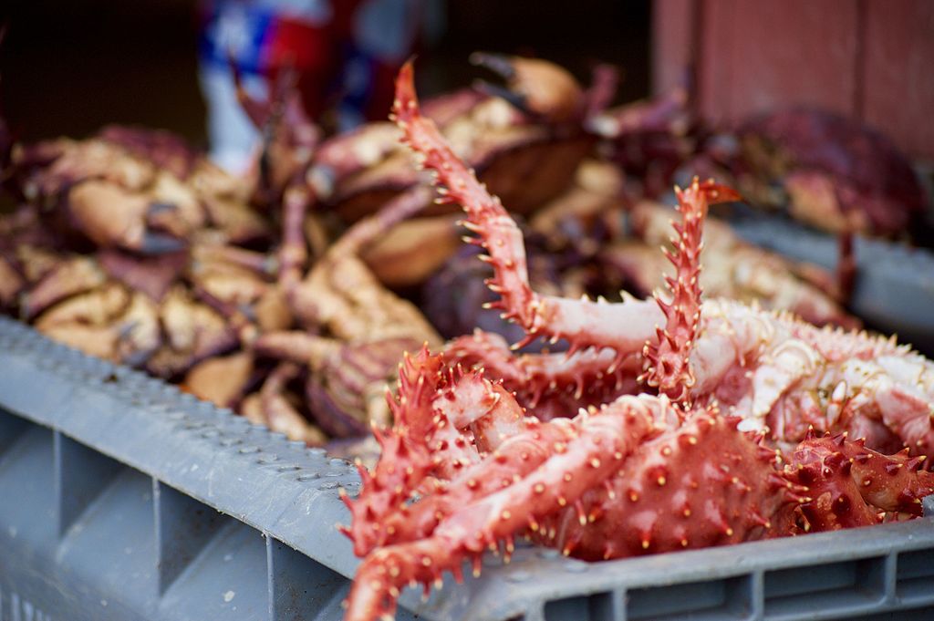 La centolla: trucos para cocerla en casa y cómo congelarla La centolla: trucos para cocerla en casa y cómo congelarla