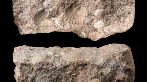 Estela funeraria hallada en Castillejo del Bonete