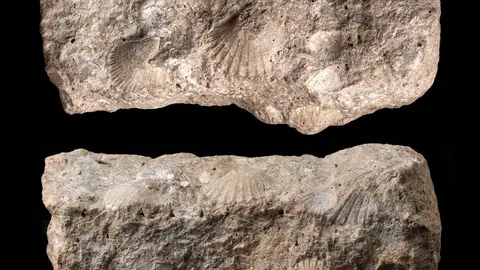 Estela funeraria hallada en Castillejo del Bonete Estela funeraria hallada en Castillejo del Bonete