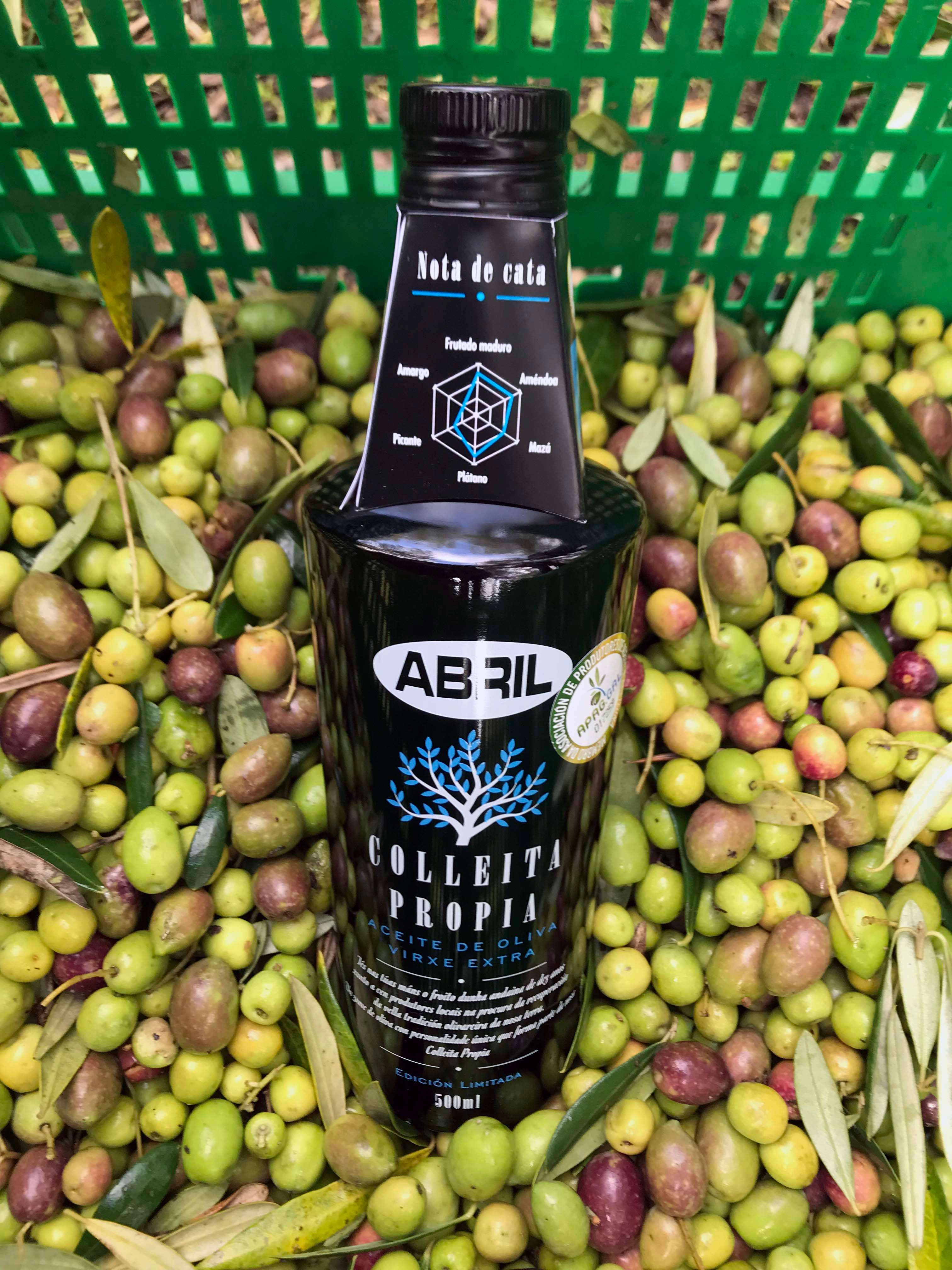 En "Se nos va la olla" falamos ca directora de marketing de Aceites Abril Elena Canal En "Se nos va la olla" falamos ca directora de marketing de Aceites Abril Elena Canal