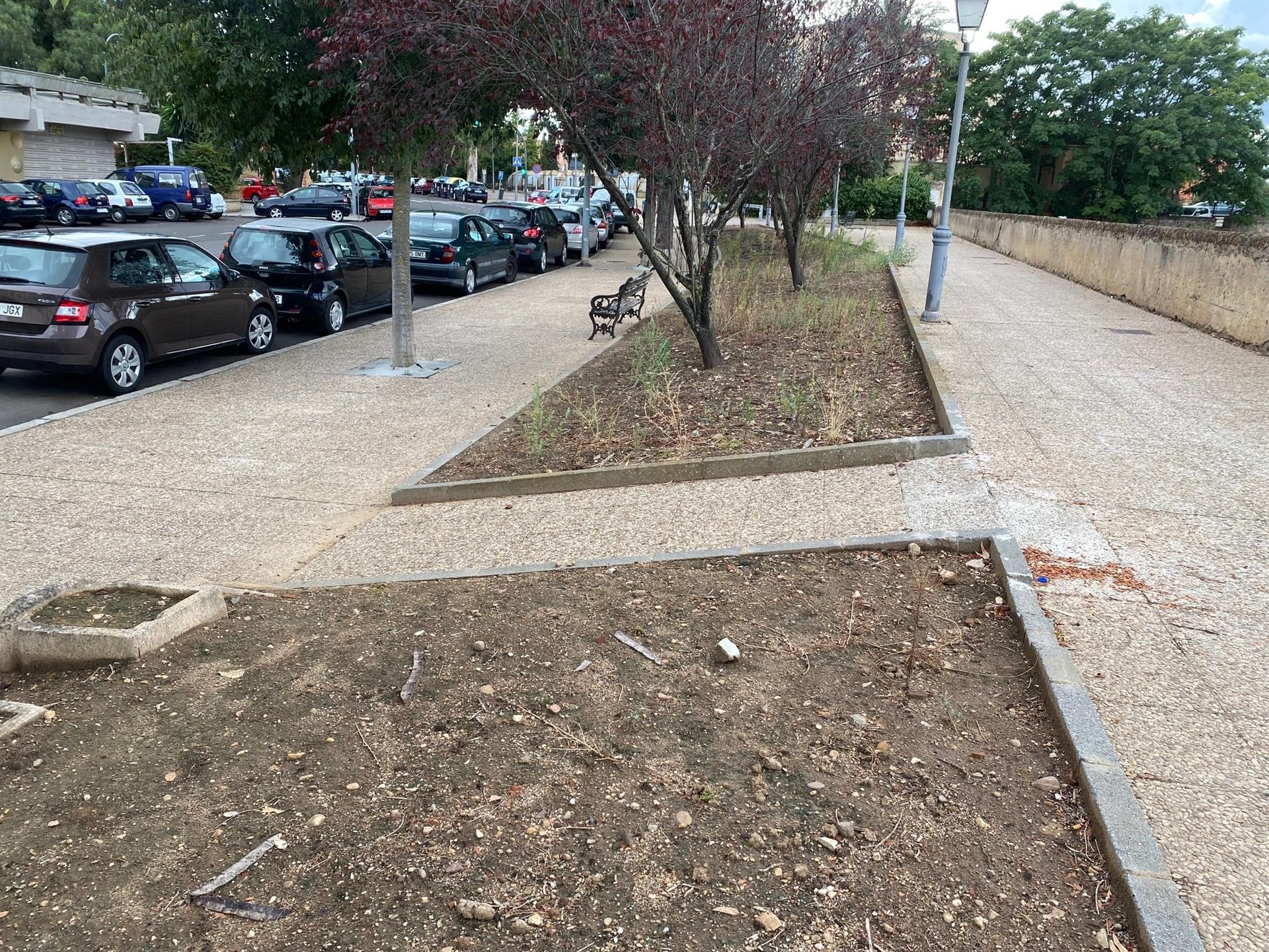 El PSOE de Badajoz pide la paralización de una licitación para regenerar césped en zonas verdes de la ciudad El PSOE de Badajoz pide la paralización de una licitación para regenerar césped en zonas verdes de la ciudad
