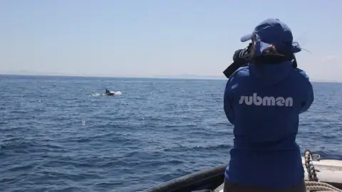 ONG Submon ONG Submon